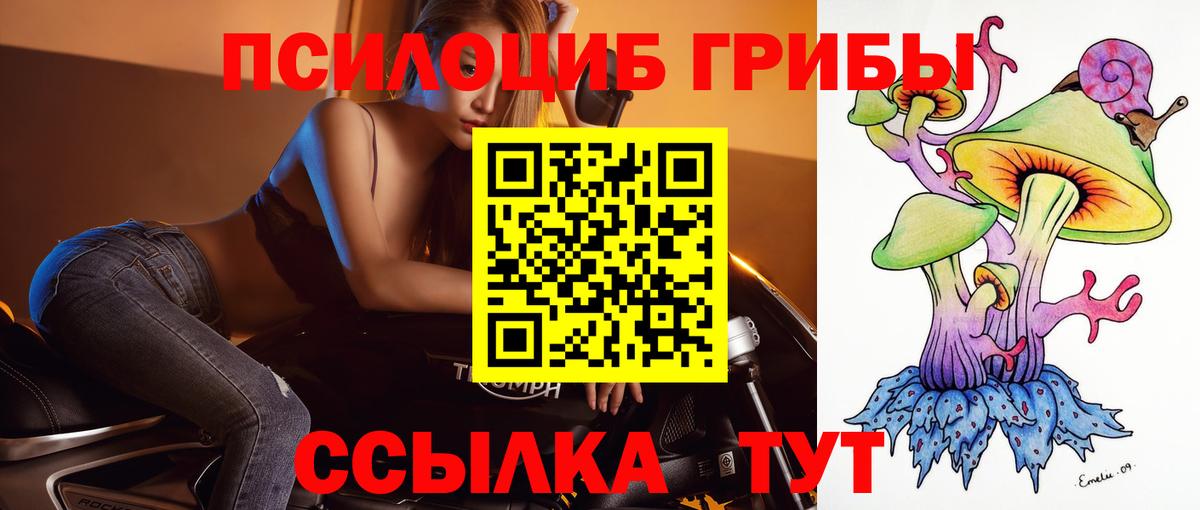 Калуга  Галлюциногенные грибы ЛСД  Псилоцибиновые грибы Psilocybine cubensis  Вход с VPN 